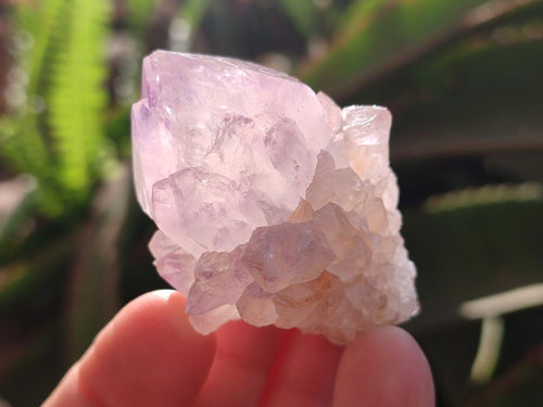 Natural Sunburst Spirit Amethyst Crystals x 20 From Boekenhouthoek, South Africa - Toprock Gemstones and Minerals 