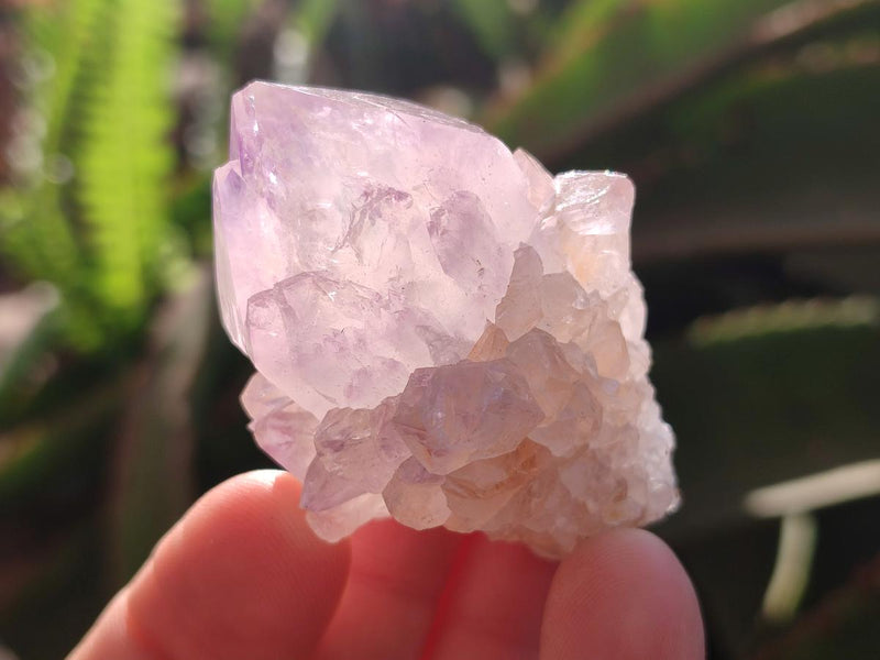 Natural Sunburst Spirit Amethyst Crystals x 20 From Boekenhouthoek, South Africa - Toprock Gemstones and Minerals 