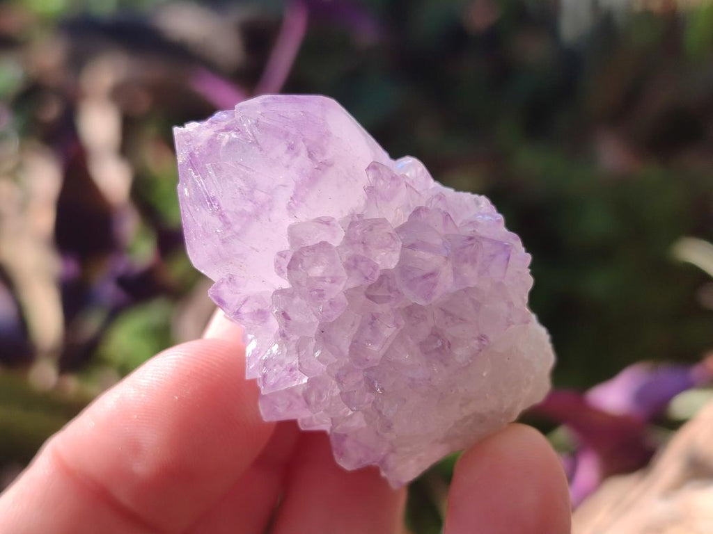 Natural Sunburst Spirit Amethyst Crystals x 20 From Boekenhouthoek, South Africa - Toprock Gemstones and Minerals 