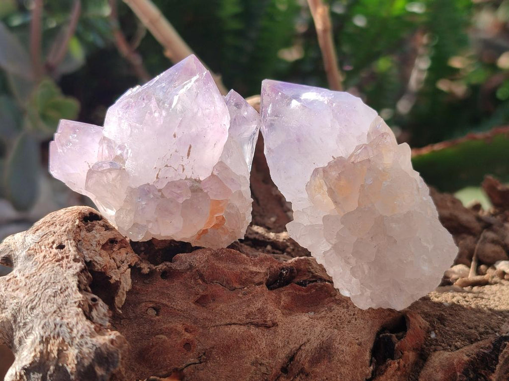 Natural Sunburst Spirit Amethyst Crystals x 20 From Boekenhouthoek, South Africa - Toprock Gemstones and Minerals 