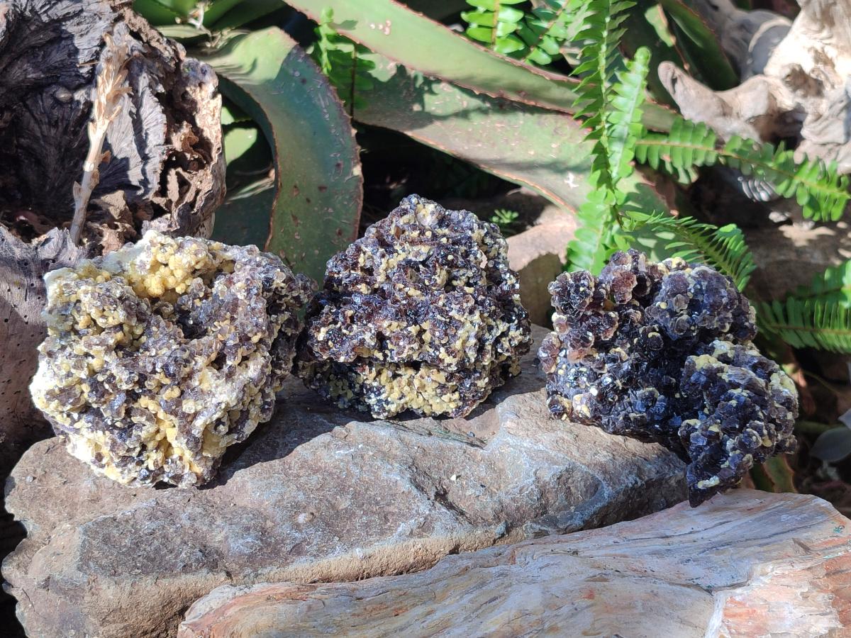 Natural Smokey Fluorite Specimens with Yellow Muscovite Mica x 3 From Erongo, Namibia - Toprock Gemstones and Minerals 