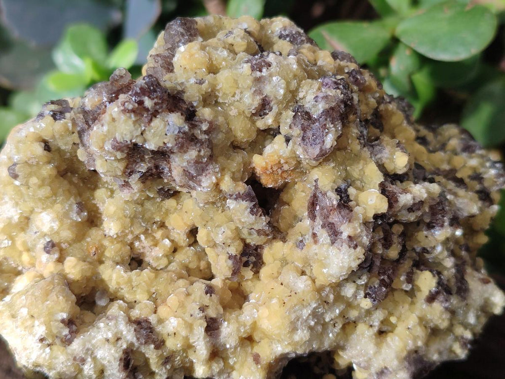 Natural Smokey Fluorite Specimens with Yellow Muscovite Mica x 3 From Erongo, Namibia - Toprock Gemstones and Minerals 