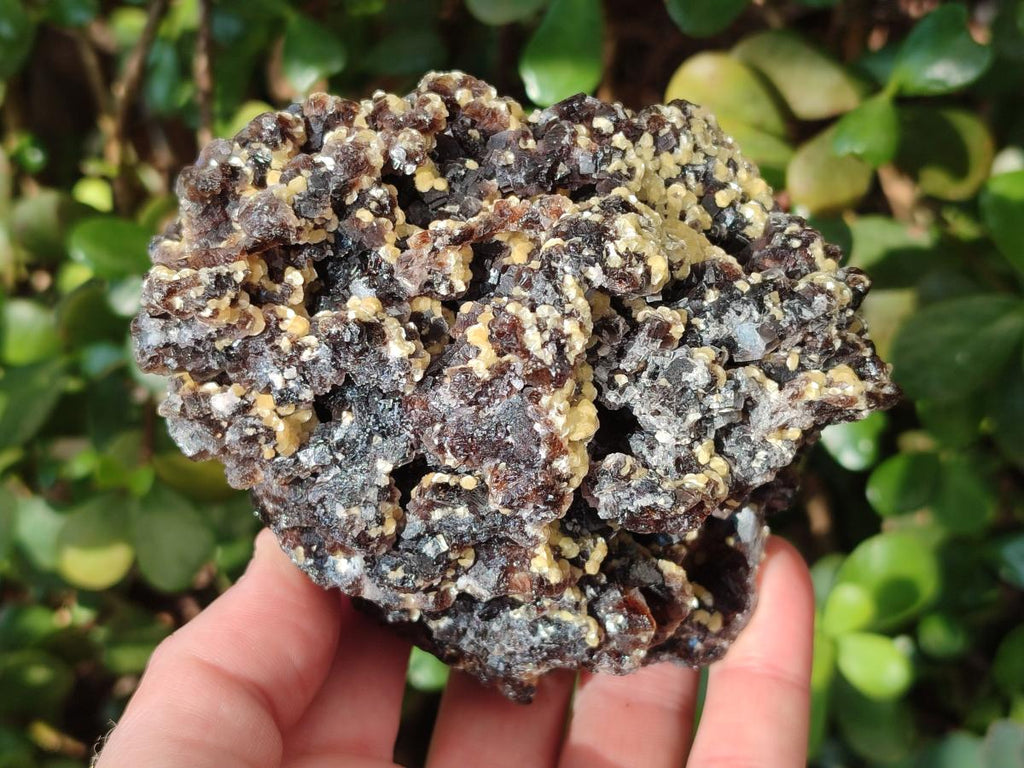 Natural Smokey Fluorite Specimens with Yellow Muscovite Mica x 3 From Erongo, Namibia - Toprock Gemstones and Minerals 