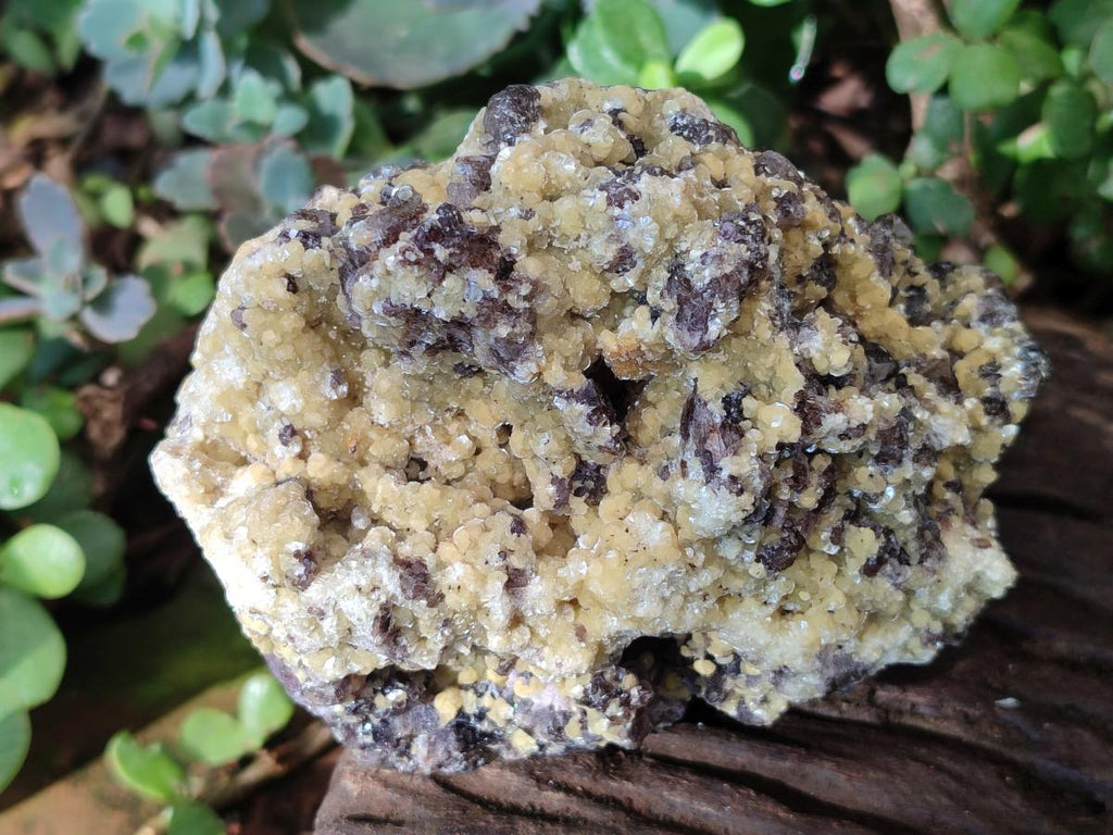 Natural Smokey Fluorite Specimens with Yellow Muscovite Mica x 3 From Erongo, Namibia - Toprock Gemstones and Minerals 