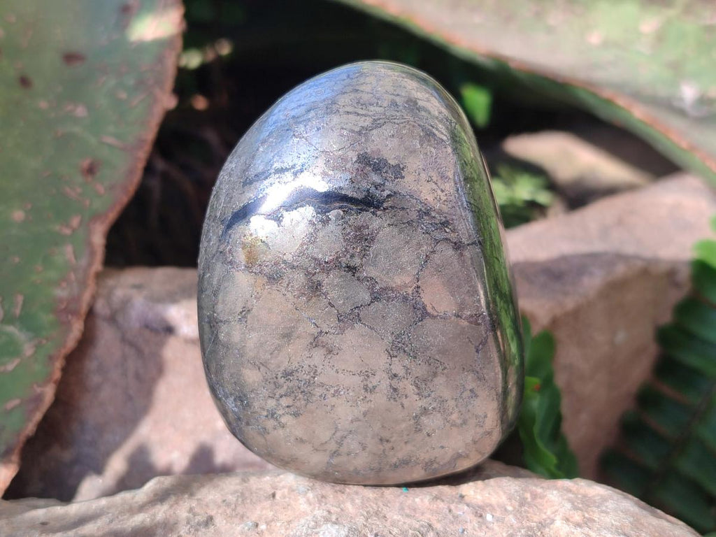 Polished Basalt Pharaoh Stone Free Forms x 4 From Iron Duke Mine, Zimbabwe - Toprock Gemstones and Minerals 