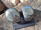 Polished Basalt Pharaoh Stone Free Forms x 4 From Iron Duke Mine, Zimbabwe - Toprock Gemstones and Minerals 
