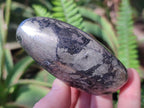 Polished Basalt Pharaoh Stone Free Forms x 4 From Iron Duke Mine, Zimbabwe - Toprock Gemstones and Minerals 