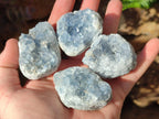Natural Blue Celestite Specimens x 12 From Sakoany, Madagascar - Toprock Gemstones and Minerals 
