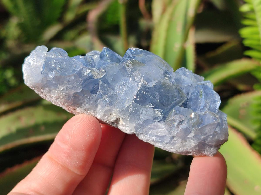 Natural Blue Celestite Specimens x 12 From Sakoany, Madagascar - Toprock Gemstones and Minerals 