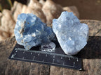 Natural Blue Celestite Specimens x 12 From Sakoany, Madagascar - Toprock Gemstones and Minerals 