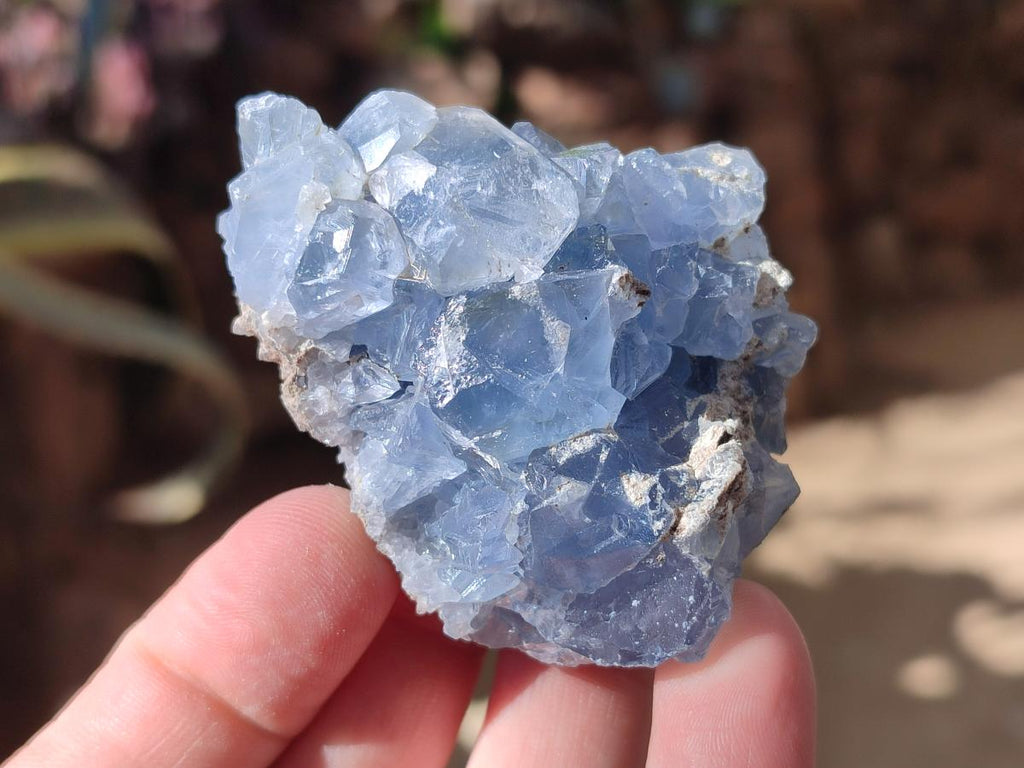 Natural Blue Celestite Specimens x 12 From Sakoany, Madagascar - Toprock Gemstones and Minerals 