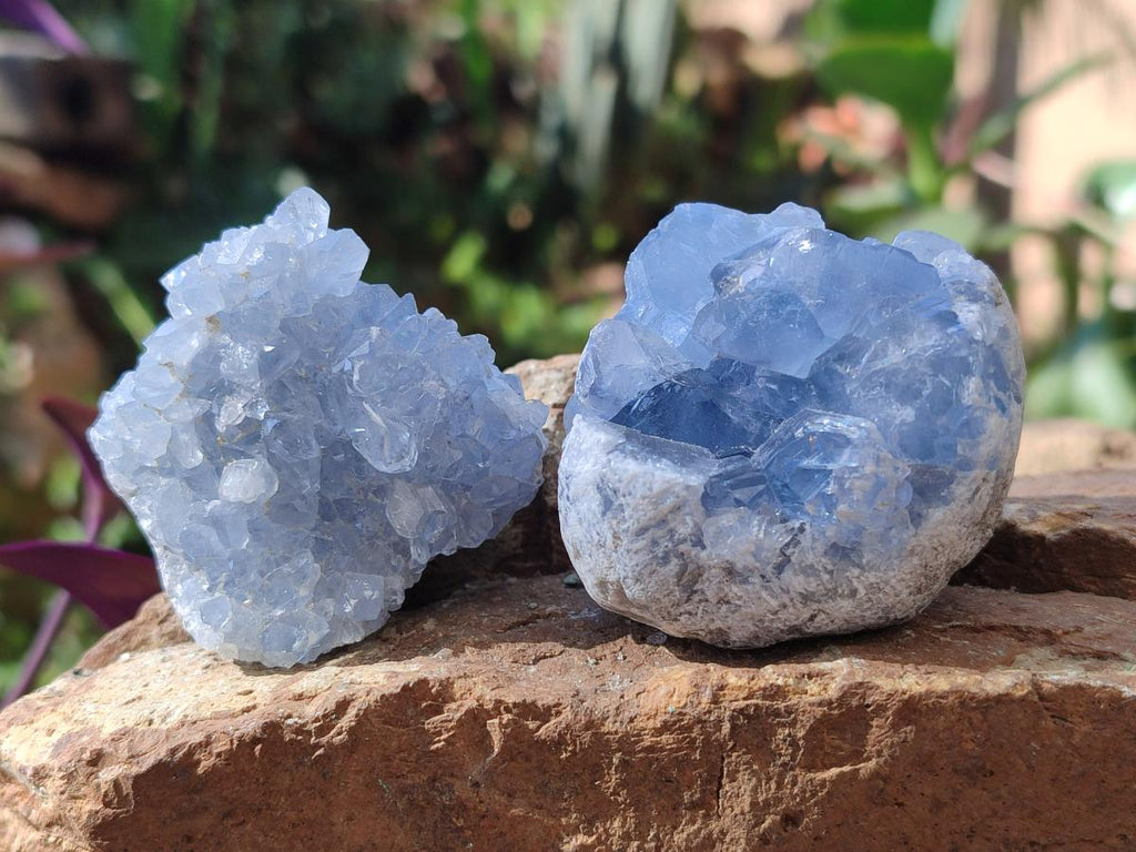 Natural Blue Celestite Specimens x 12 From Sakoany, Madagascar - Toprock Gemstones and Minerals 