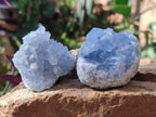 Natural Blue Celestite Specimens x 12 From Sakoany, Madagascar - Toprock Gemstones and Minerals 