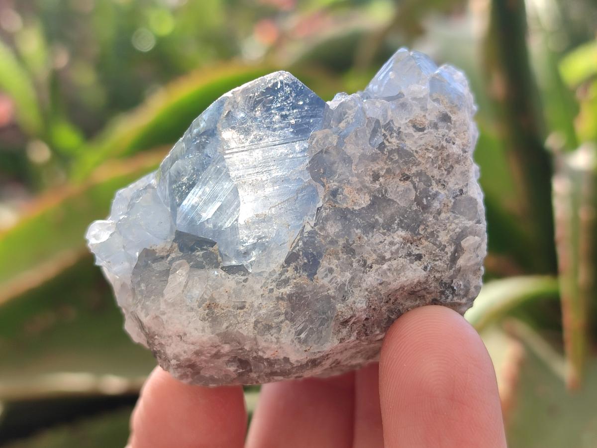 Natural Blue Celestite Specimens x 12 From Sakoany, Madagascar - Toprock Gemstones and Minerals 