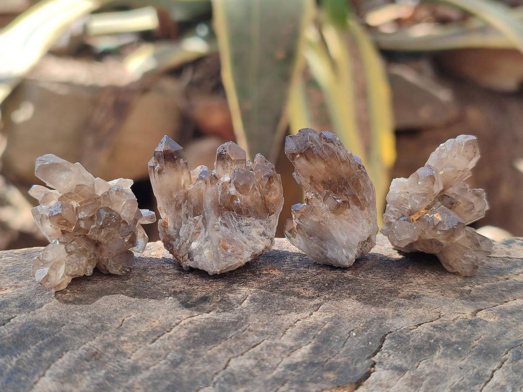 Natural Smokey Quartz Crystal Clusters x 70 From Erongo, Namibia - Toprock Gemstones and Minerals 