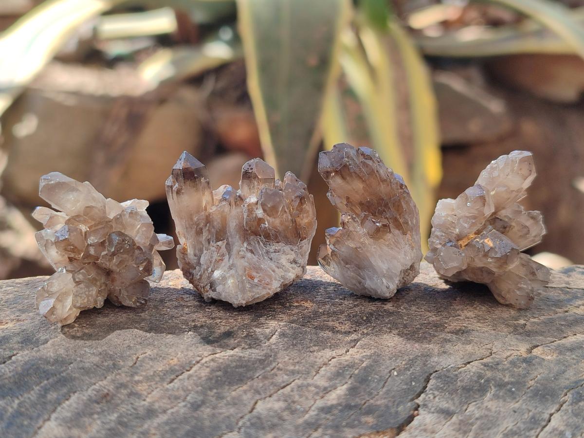 Natural Smokey Quartz Crystal Clusters x 70 From Erongo, Namibia - Toprock Gemstones and Minerals 