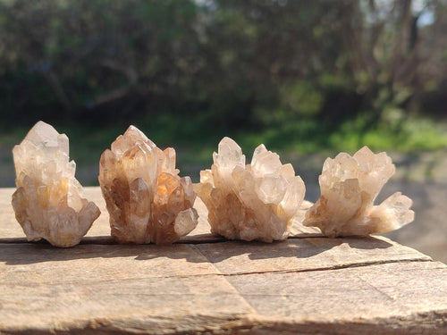 Natural Smokey Quartz Crystal Clusters x 70 From Erongo, Namibia - Toprock Gemstones and Minerals 