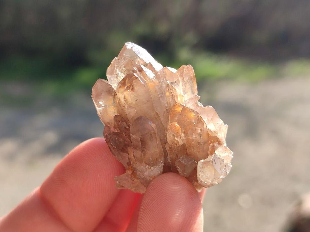 Natural Smokey Quartz Crystal Clusters x 70 From Erongo, Namibia - Toprock Gemstones and Minerals 