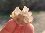 Natural Smokey Quartz Crystal Clusters x 70 From Erongo, Namibia - Toprock Gemstones and Minerals 