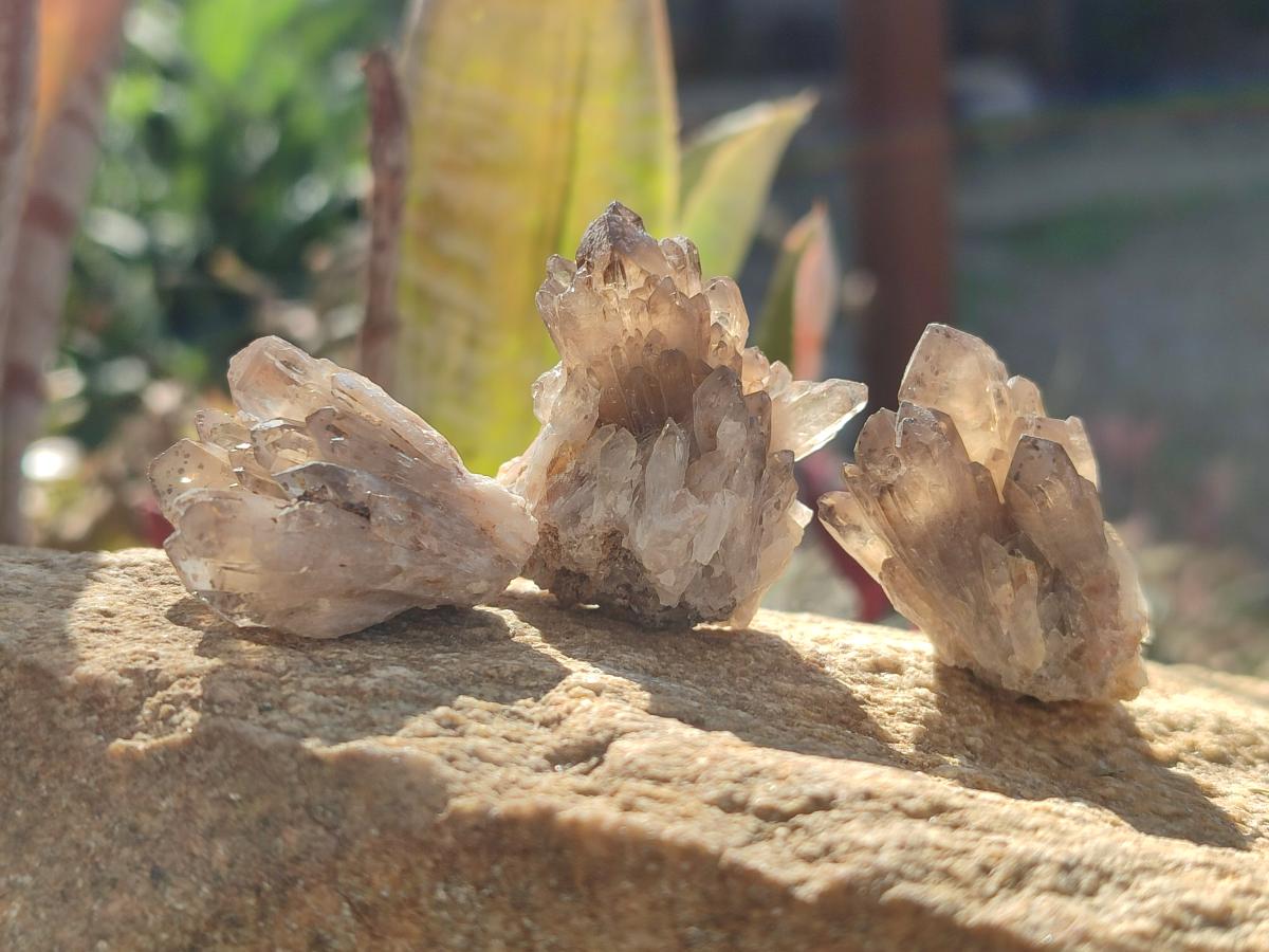Natural Smokey Quartz Crystal Clusters x 70 From Erongo, Namibia - Toprock Gemstones and Minerals 
