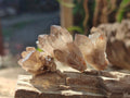 Natural Smokey Quartz Crystal Clusters x 70 From Erongo, Namibia - Toprock Gemstones and Minerals 