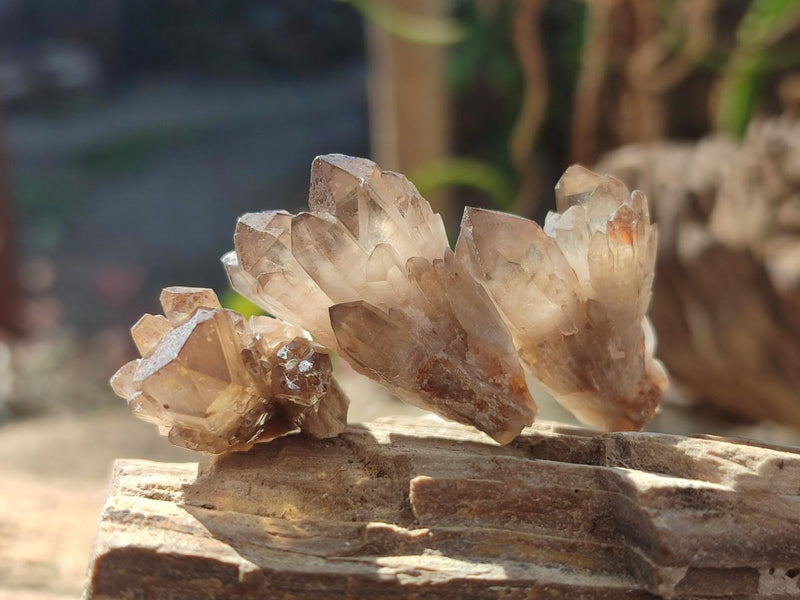 Natural Smokey Quartz Crystal Clusters x 70 From Erongo, Namibia - Toprock Gemstones and Minerals 