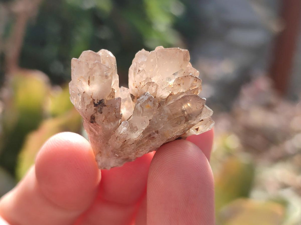 Natural Smokey Quartz Crystal Clusters x 70 From Erongo, Namibia - Toprock Gemstones and Minerals 