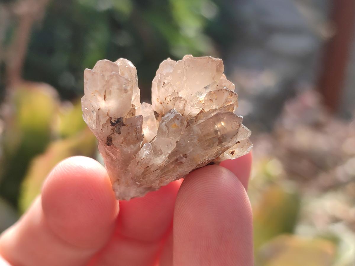 Natural Smokey Quartz Crystal Clusters x 70 From Erongo, Namibia - Toprock Gemstones and Minerals 