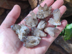Natural Smokey Quartz Crystal Clusters x 70 From Erongo, Namibia - Toprock Gemstones and Minerals 