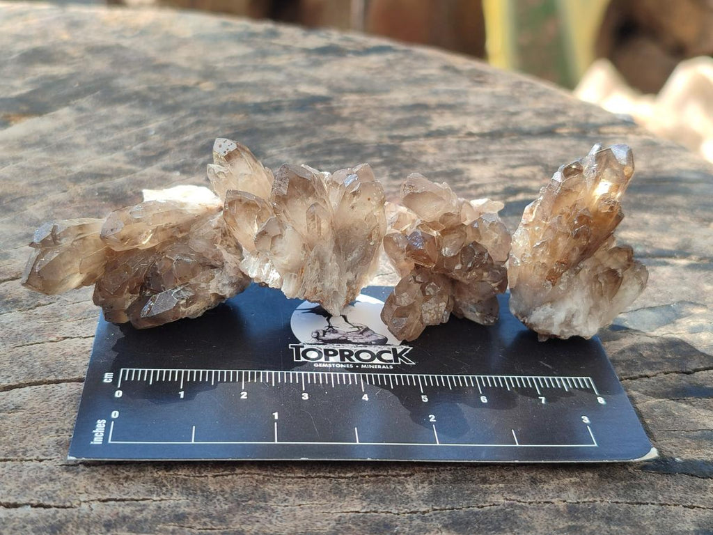 Natural Smokey Quartz Crystal Clusters x 70 From Erongo, Namibia - Toprock Gemstones and Minerals 
