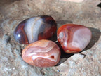 Polished Red Shashe River Agate Free Forms x 35 From Shashe River, Zimbabwe - Toprock Gemstones and Minerals 