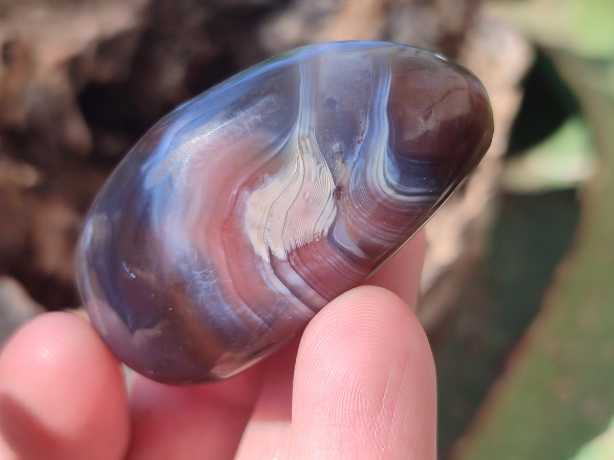 Polished Red Shashe River Agate Free Forms x 35 From Shashe River, Zimbabwe - Toprock Gemstones and Minerals 