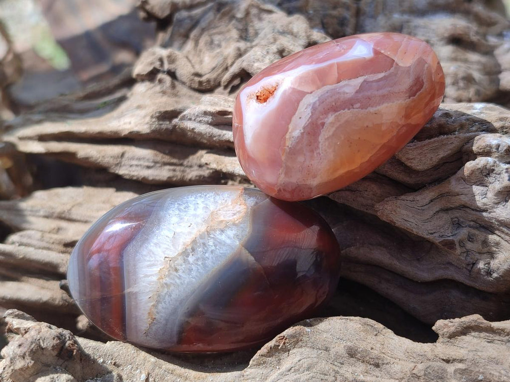 Polished Red Shashe River Agate Free Forms x 35 From Shashe River, Zimbabwe - Toprock Gemstones and Minerals 