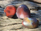 Polished Red Shashe River Agate Free Forms x 35 From Shashe River, Zimbabwe - Toprock Gemstones and Minerals 