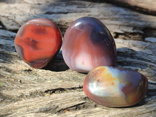 Polished Red Shashe River Agate Free Forms x 35 From Shashe River, Zimbabwe - Toprock Gemstones and Minerals 