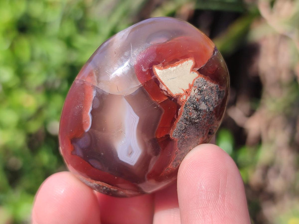 Polished Red Shashe River Agate Free Forms x 35 From Shashe River, Zimbabwe - Toprock Gemstones and Minerals 