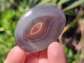 Polished Red Shashe River Agate Free Forms x 35 From Shashe River, Zimbabwe - Toprock Gemstones and Minerals 