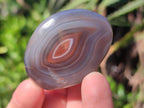 Polished Red Shashe River Agate Free Forms x 35 From Shashe River, Zimbabwe - Toprock Gemstones and Minerals 