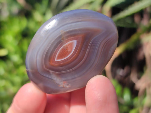 Polished Red Shashe River Agate Free Forms x 35 From Shashe River, Zimbabwe - Toprock Gemstones and Minerals 