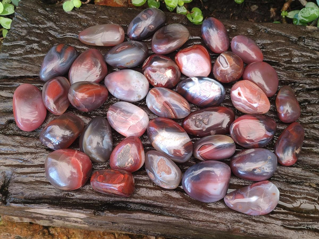 Polished Red Shashe River Agate Free Forms x 35 From Shashe River, Zimbabwe - Toprock Gemstones and Minerals 