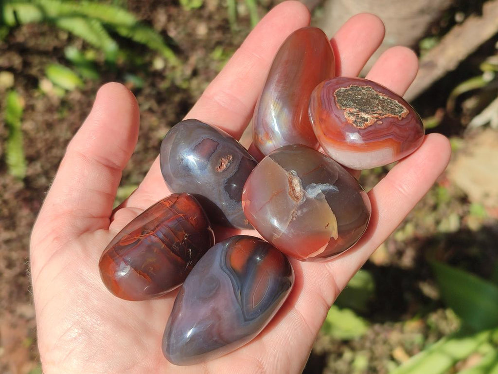 Polished Red Shashe River Agate Free Forms x 35 From Shashe River, Zimbabwe - Toprock Gemstones and Minerals 