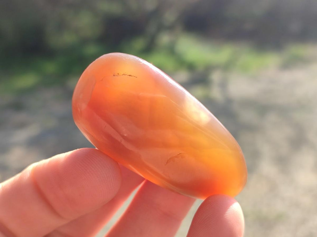 Polished Red Shashe River Agate Free Forms x 35 From Shashe River, Zimbabwe - Toprock Gemstones and Minerals 