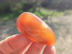 Polished Red Shashe River Agate Free Forms x 35 From Shashe River, Zimbabwe - Toprock Gemstones and Minerals 