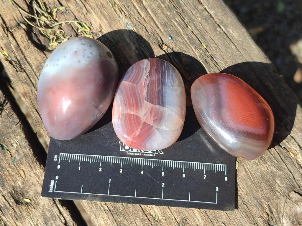 Polished Red Shashe River Agate Free Forms x 35 From Shashe River, Zimbabwe - Toprock Gemstones and Minerals 