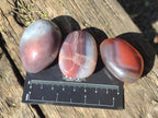 Polished Red Shashe River Agate Free Forms x 35 From Shashe River, Zimbabwe - Toprock Gemstones and Minerals 