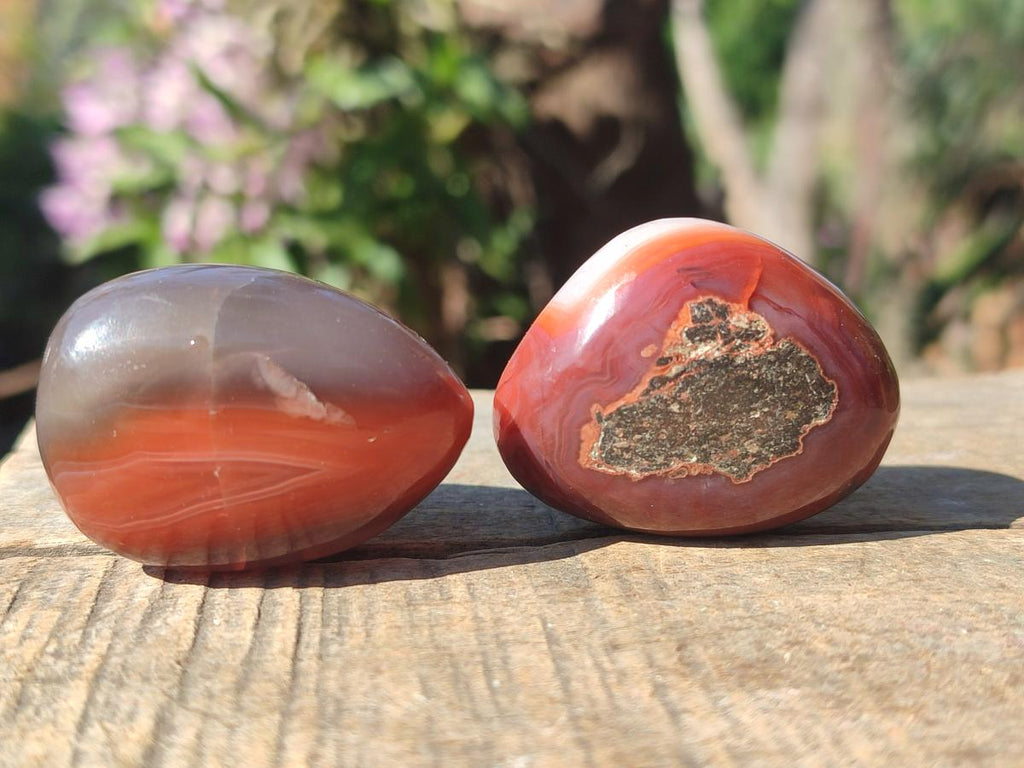 Polished Red Shashe River Agate Free Forms x 35 From Shashe River, Zimbabwe - Toprock Gemstones and Minerals 