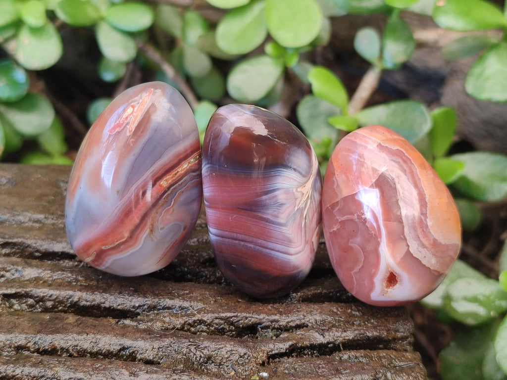 Polished Red Shashe River Agate Free Forms x 35 From Shashe River, Zimbabwe - Toprock Gemstones and Minerals 