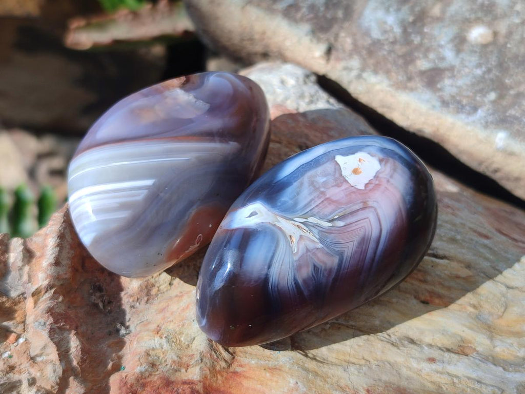 Polished Red Shashe River Agate Free Forms x 35 From Shashe River, Zimbabwe - Toprock Gemstones and Minerals 