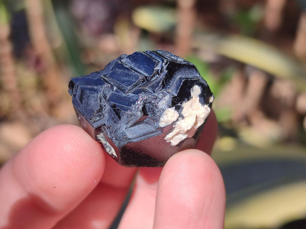 Natural Schorl Black Tourmaline Crystal Specimens x 70 From Erongo, Namibia - Toprock Gemstones and Minerals 