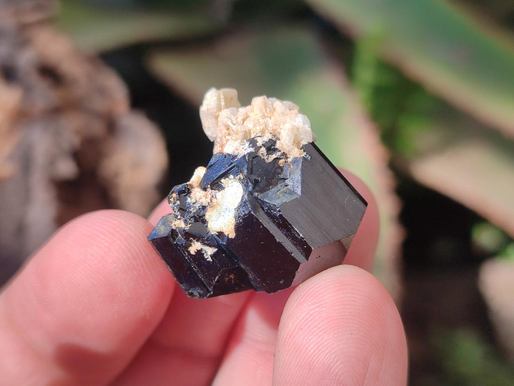 Natural Schorl Black Tourmaline Crystal Specimens x 70 From Erongo, Namibia - Toprock Gemstones and Minerals 